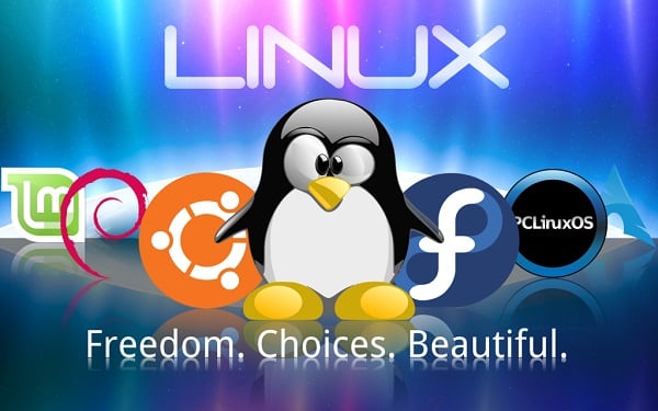 Linux free