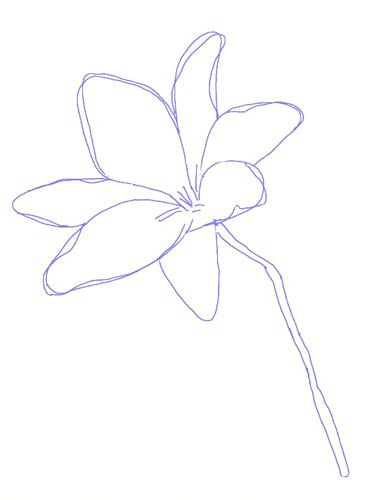 Рисунок цветка