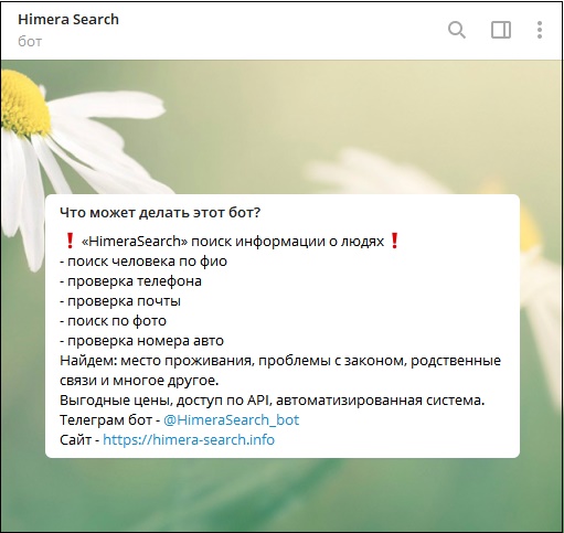 Himerasearch