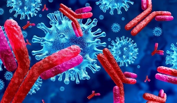 Картинки антитела к коронавирусу