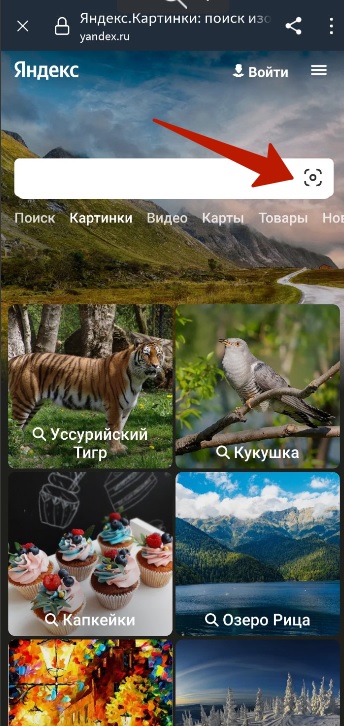 Поиск на Яндексе на мобильном